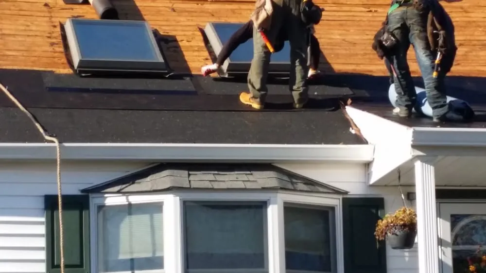 Slide of Expert Leak Finder