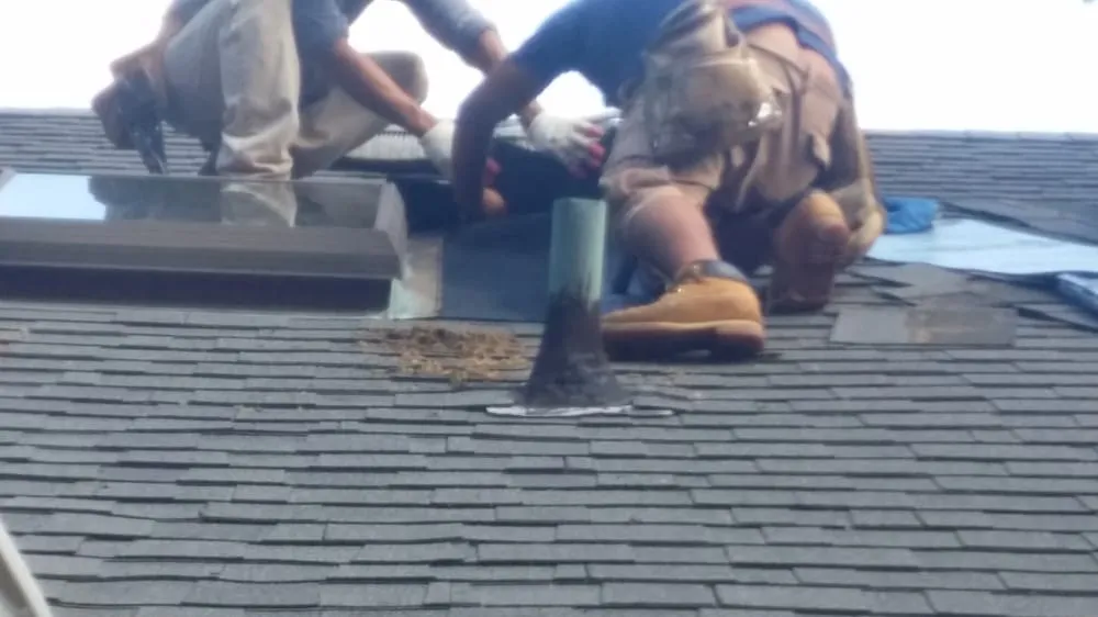 Slide of Expert Leak Finder