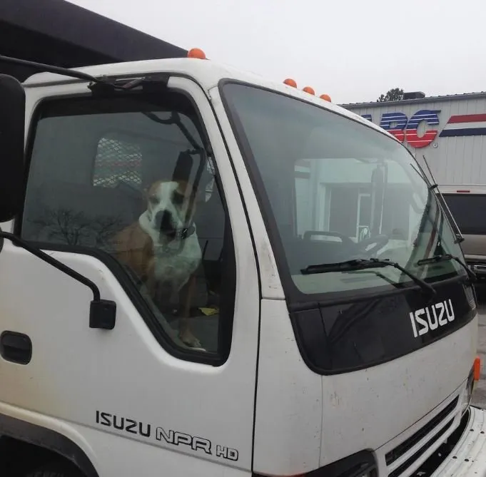 Slide of Expert Renovation Services