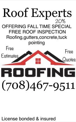 Expert Roofing Logo