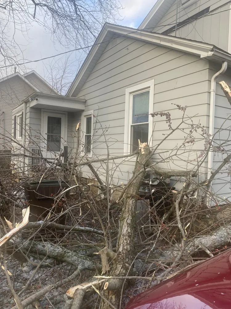 Slide of Expert Roofing