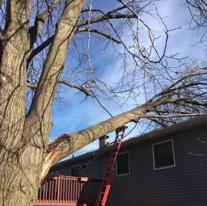 Slide of Expert Roofing