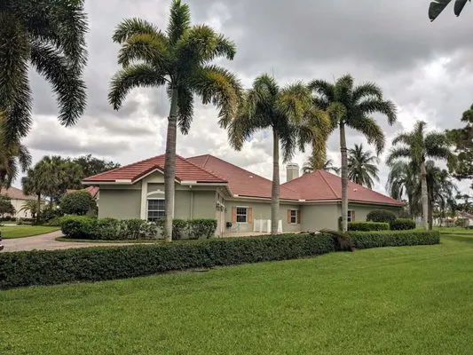 Expert Roofing Services