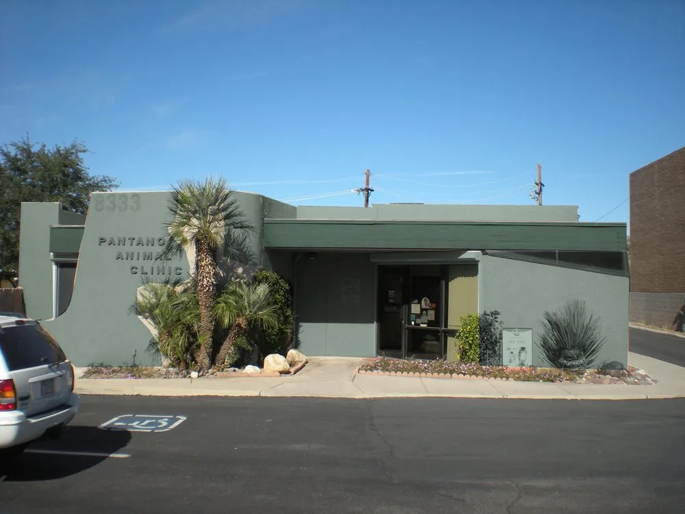 Slide of Express Painting