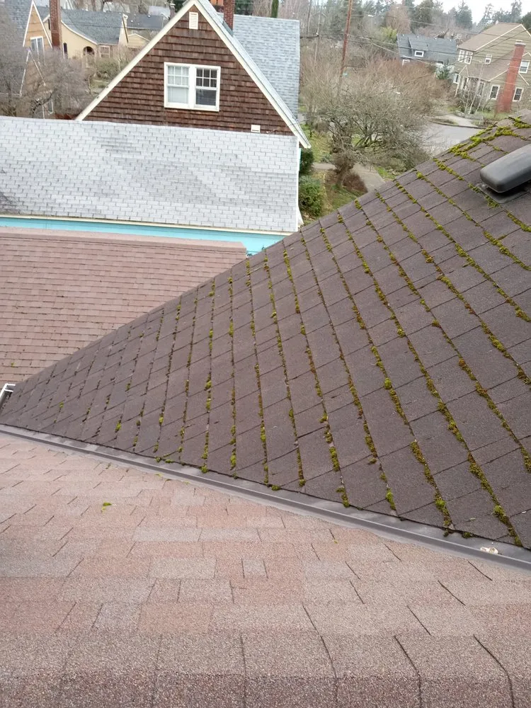 Slide of Express Roofing