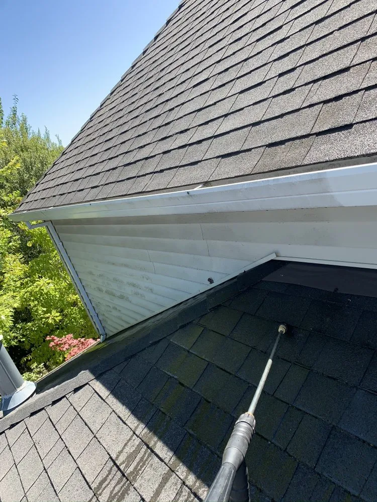 Slide of Express Window Cleaning