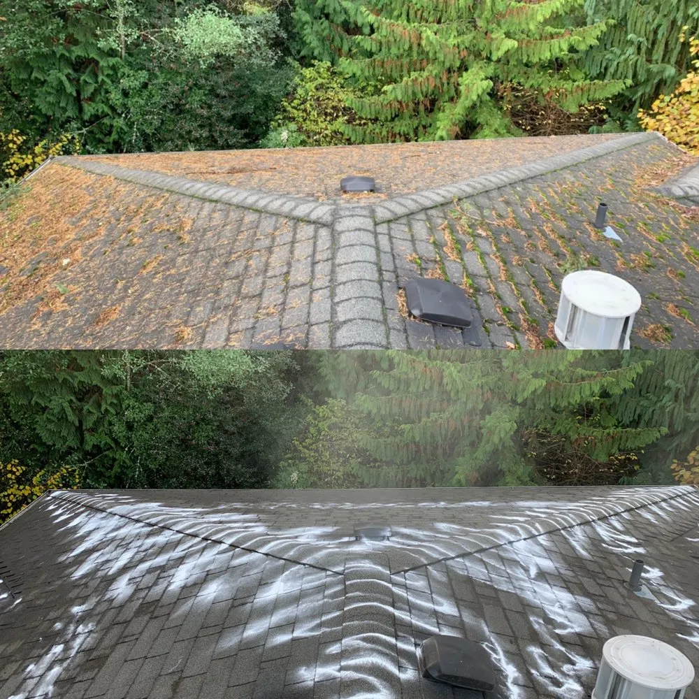 Slide of Express Window Cleaning