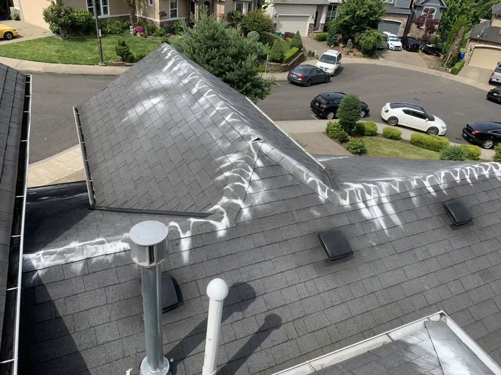 Slide of Express Window Cleaning