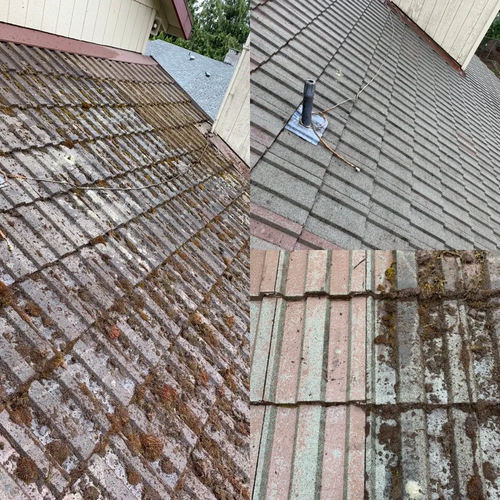 Slide of Express Window Cleaning