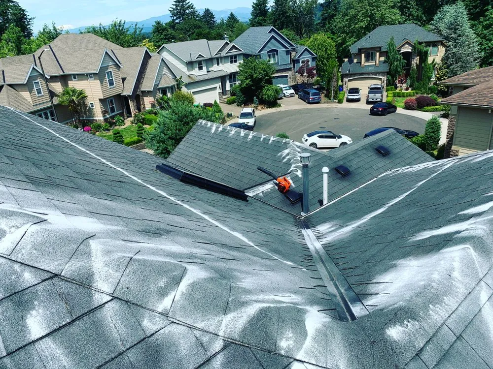 Slide of Express Window Cleaning