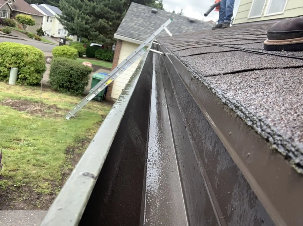 Slide of Express Window Cleaning