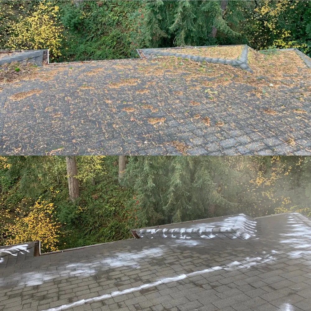 Slide of Express Window Cleaning