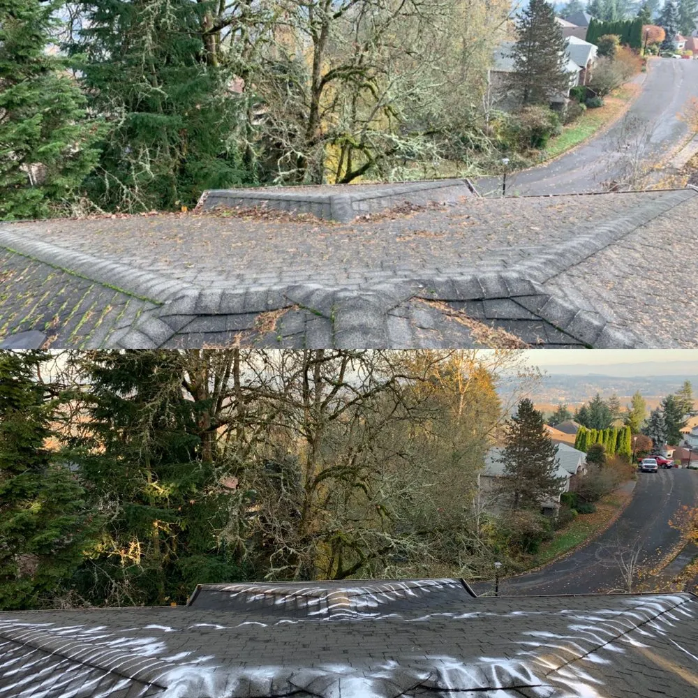 Slide of Express Window Cleaning