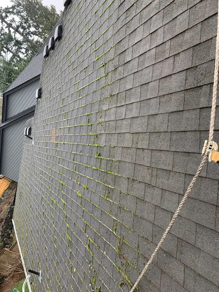 Slide of Express Window Cleaning