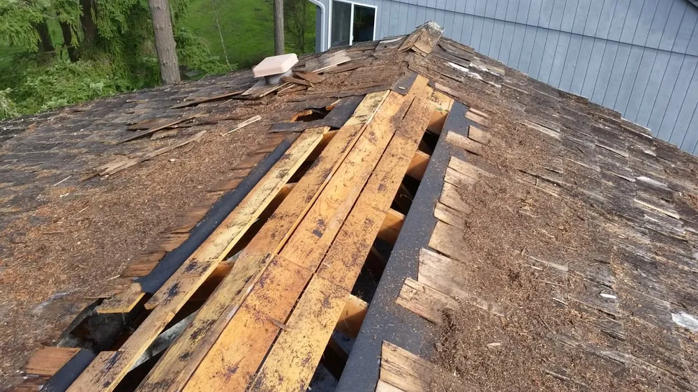 Slide of Exterior Care Pdx