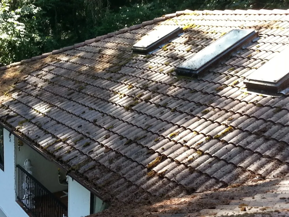 Slide of Exterior Care Pdx