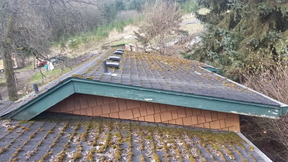 Slide of Exterior Care Pdx