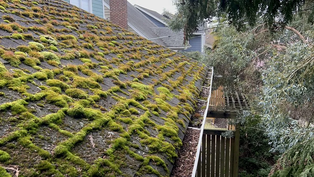 Slide of Exterior Cleaning Services By Bekman