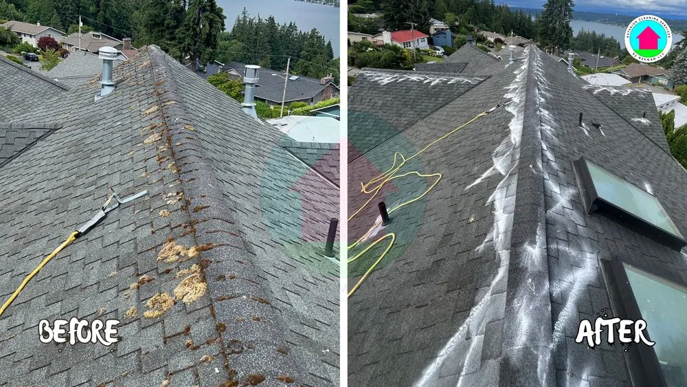 Slide of Exterior Cleaning Services By Bekman