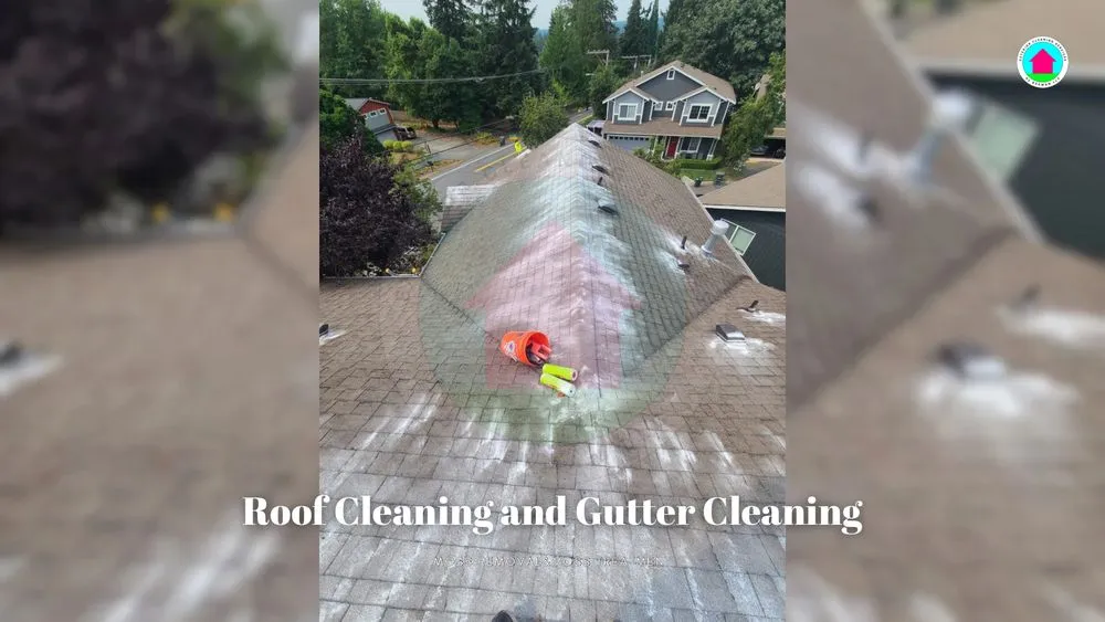 Slide of Exterior Cleaning Services By Bekman