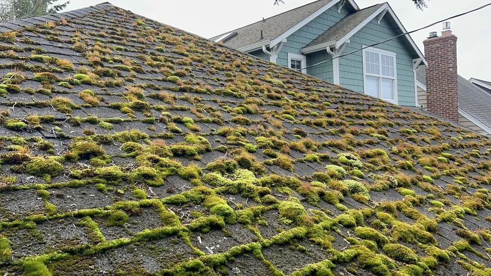 Slide of Exterior Cleaning Services By Bekman