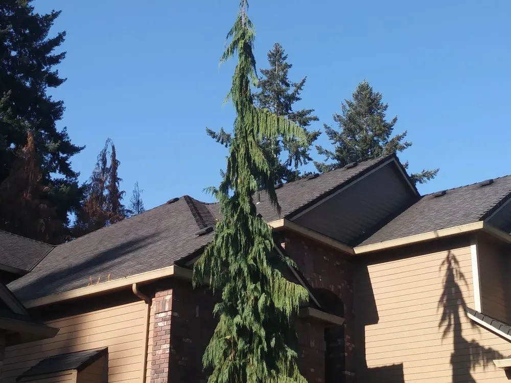 Slide of Exterior Excellence Northwest