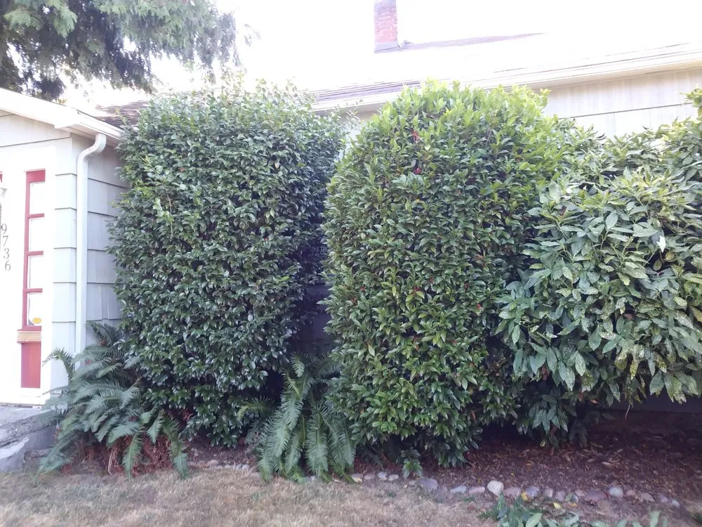 Slide of Exterior Excellence Northwest