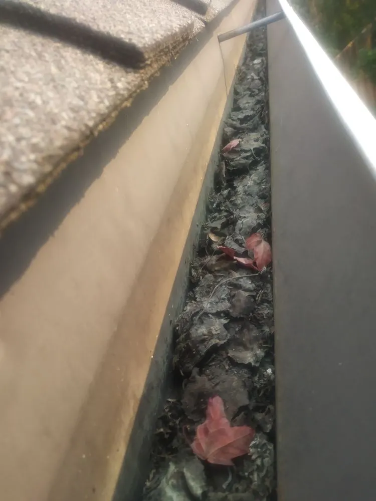 Slide of Exterior Excellence Northwest