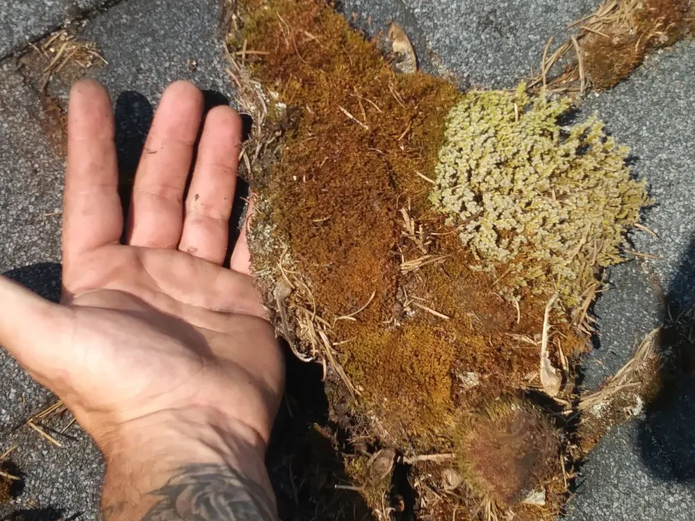 Slide of Exterior Excellence Northwest