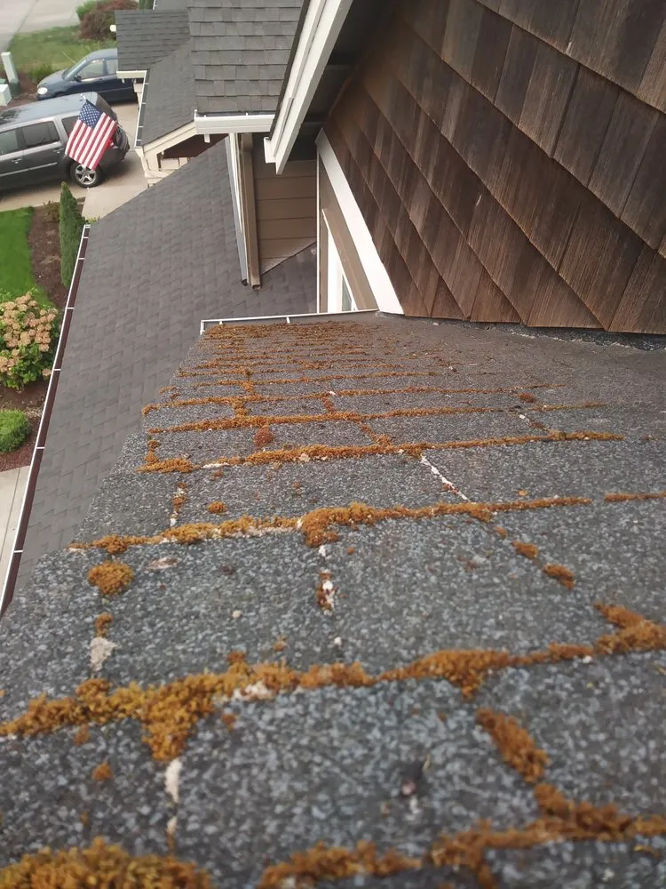 Slide of Exterior Excellence Northwest