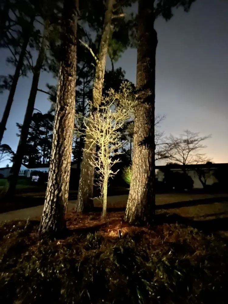 Slide of Exterior Excellence