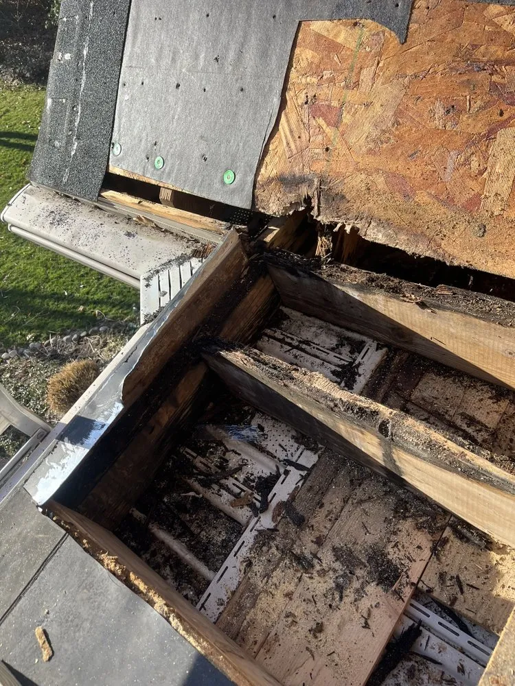 Slide of Exterior Excellence