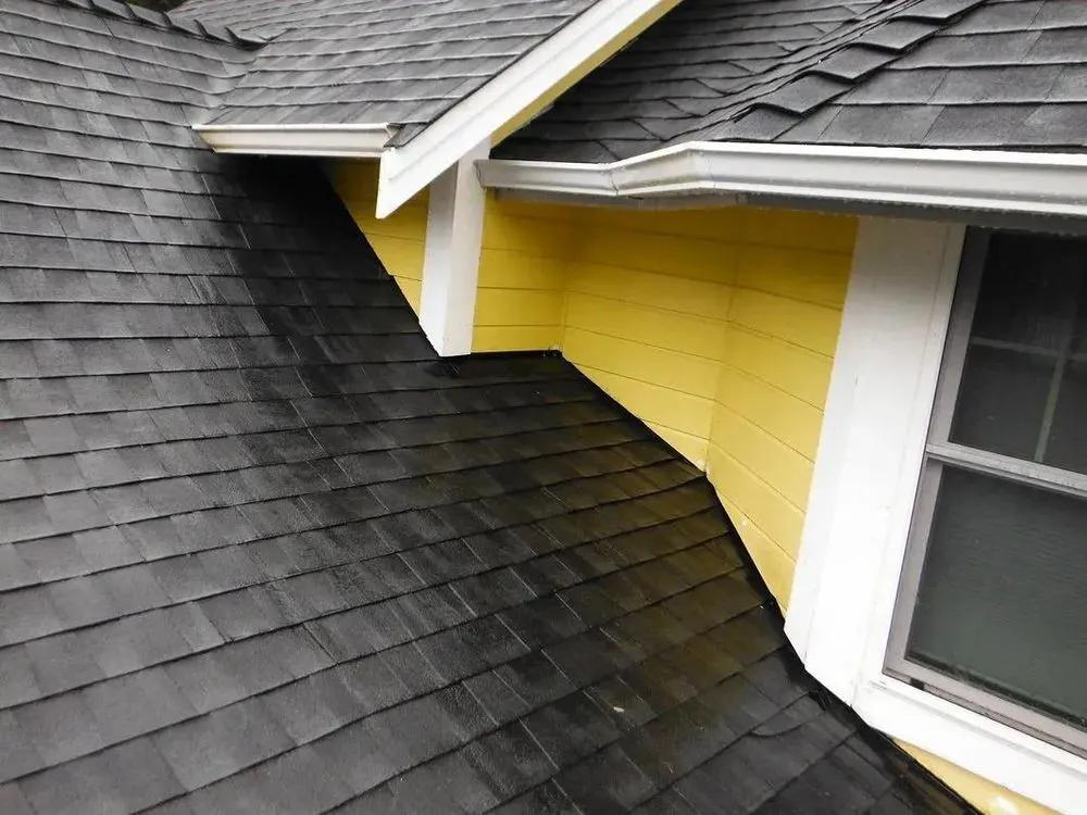 Slide of Exterior Experts