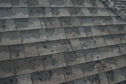 Slide of Exterior Experts