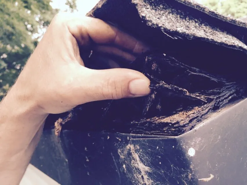 Slide of Exterior Experts