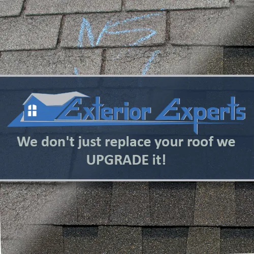 Slide of Exterior Experts