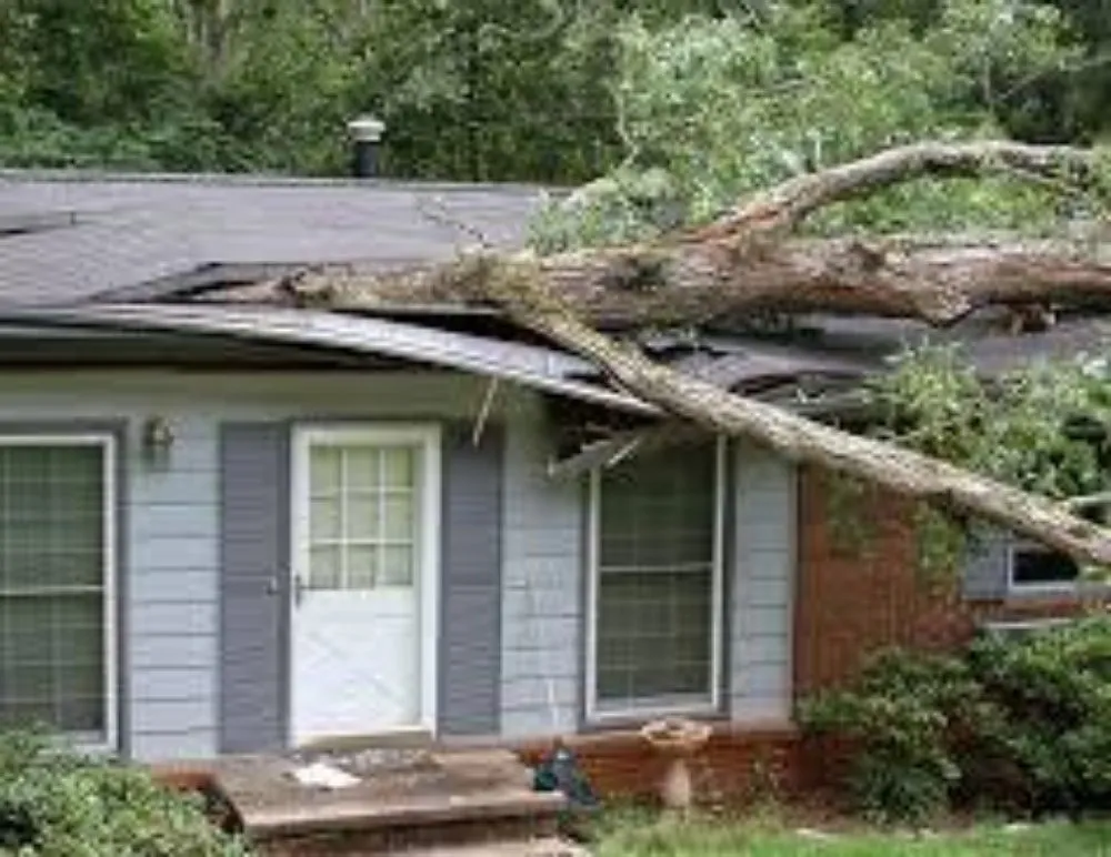 Slide of Exterior Experts