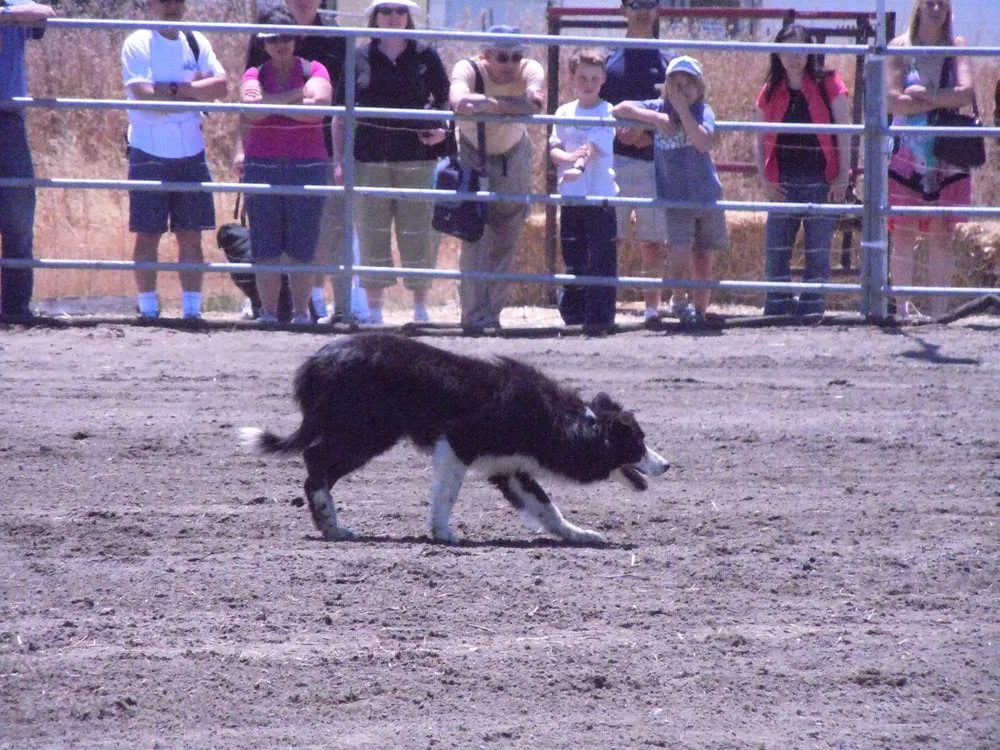 Slide of Exterior Home Solutions