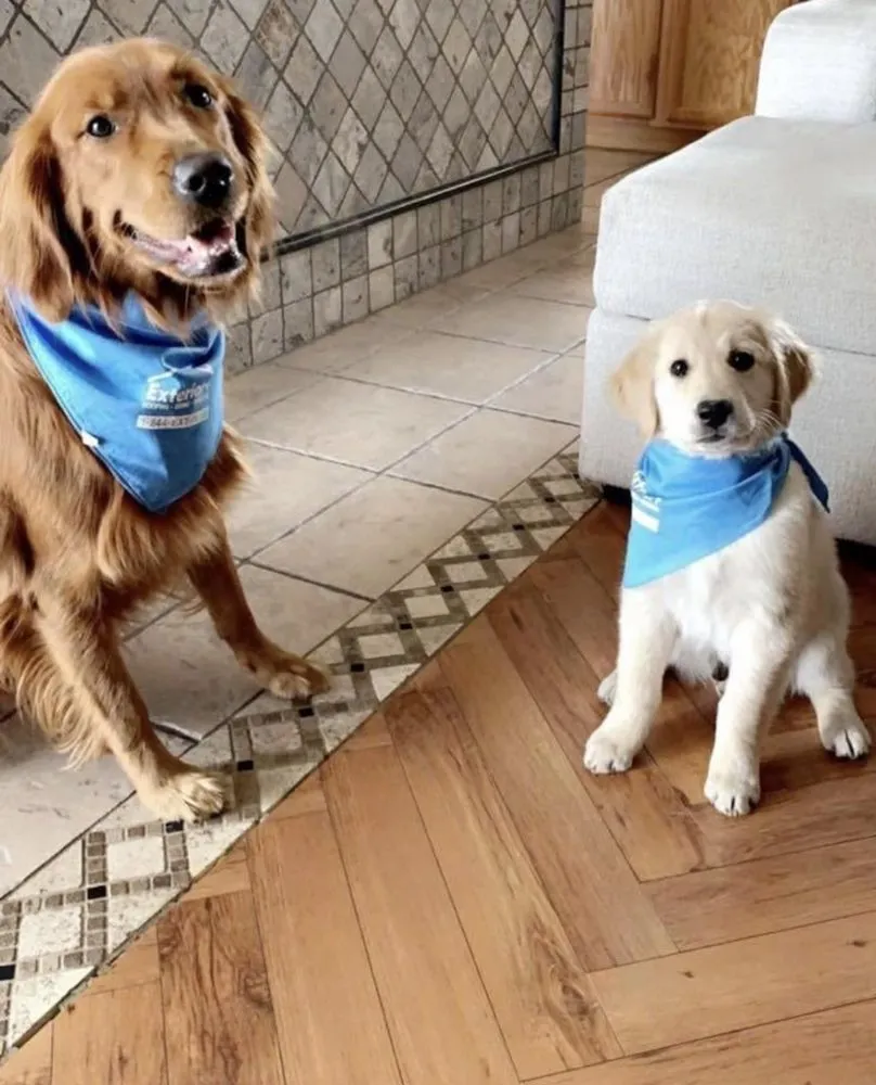 Slide of Exterior Plus