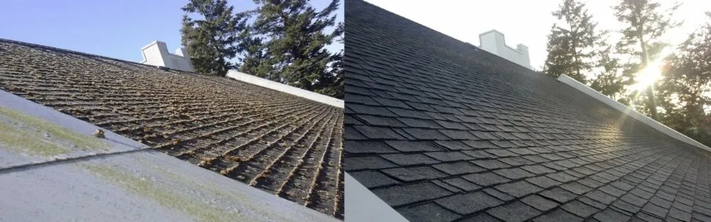Professional flat roof repair experts serving Portland,, OR - Extreme Exterior Care