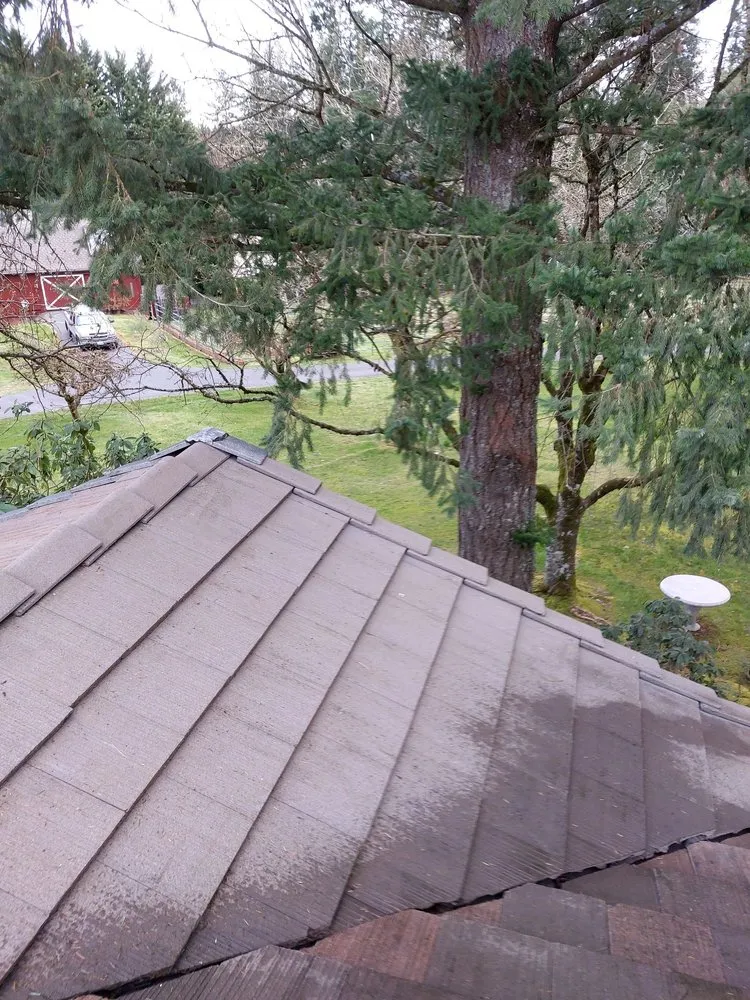 Trusted roof replacement experts serving Portland,, OR - Extreme Exterior Care