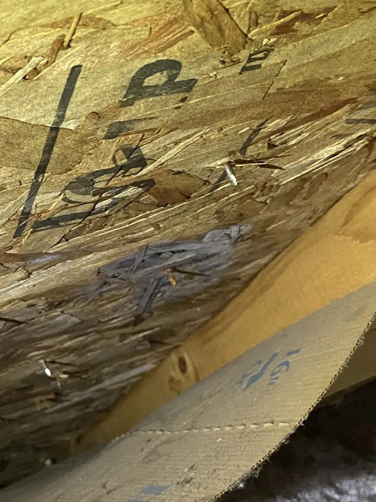 Slide of EY Contractors