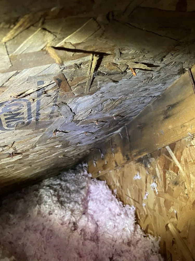 Slide of EY Contractors