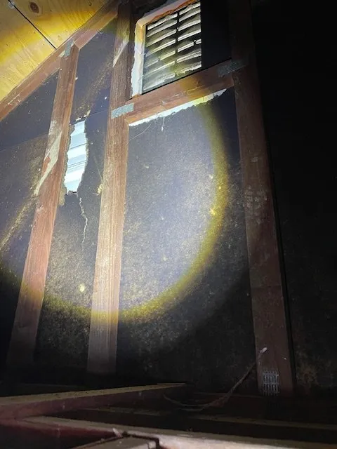 Slide of EZ Management Service