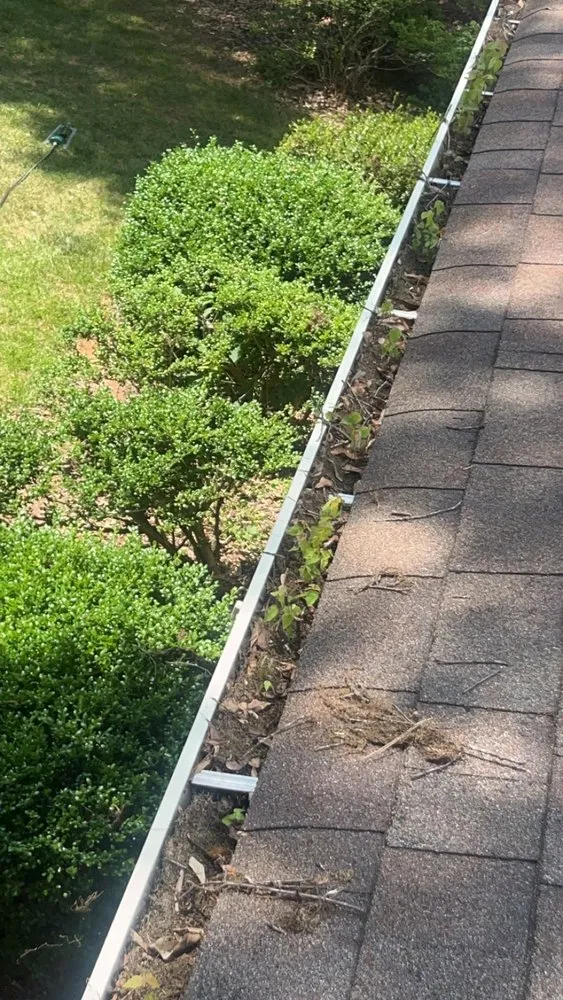 Slide of Ezzell Gutter And Roof Cleaning