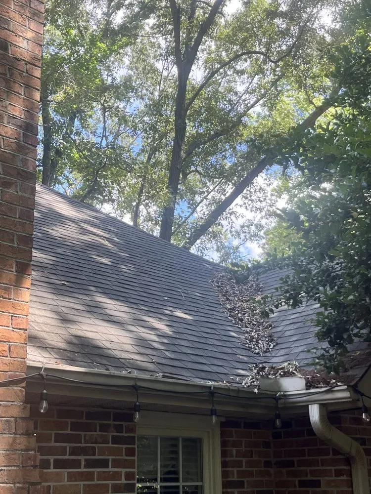 Slide of Ezzell Gutter And Roof Cleaning