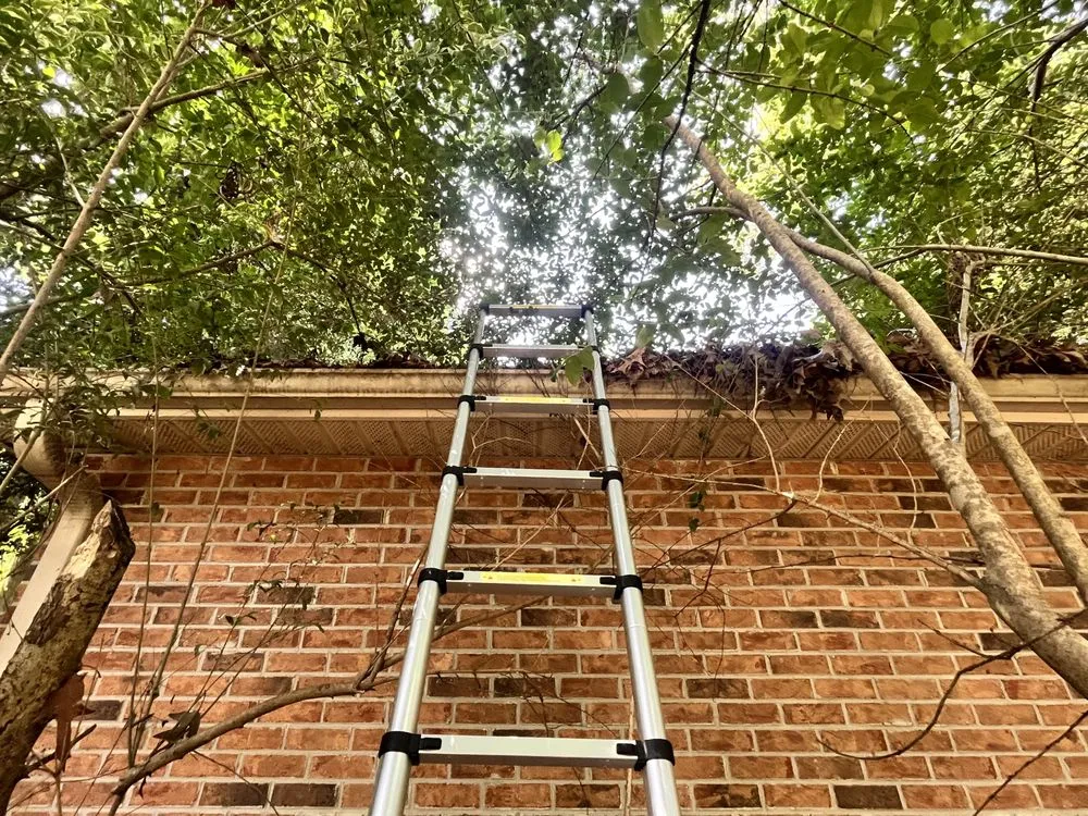 Slide of Ezzell Gutter And Roof Cleaning