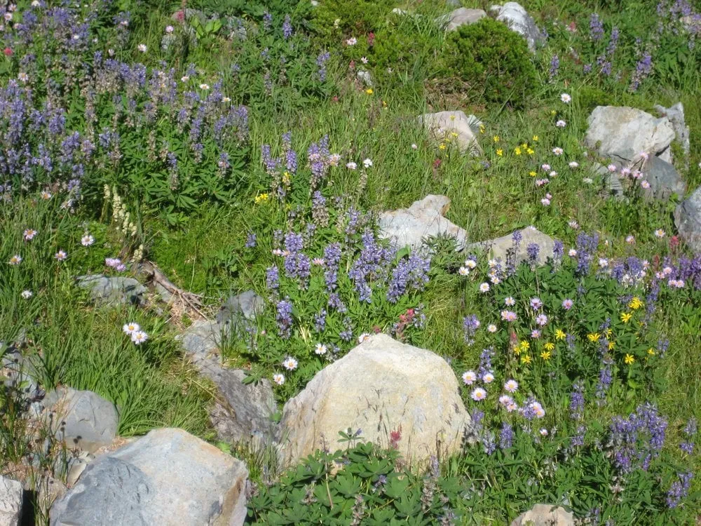 Slide of Fab Build Pro | Roofing & Contractor