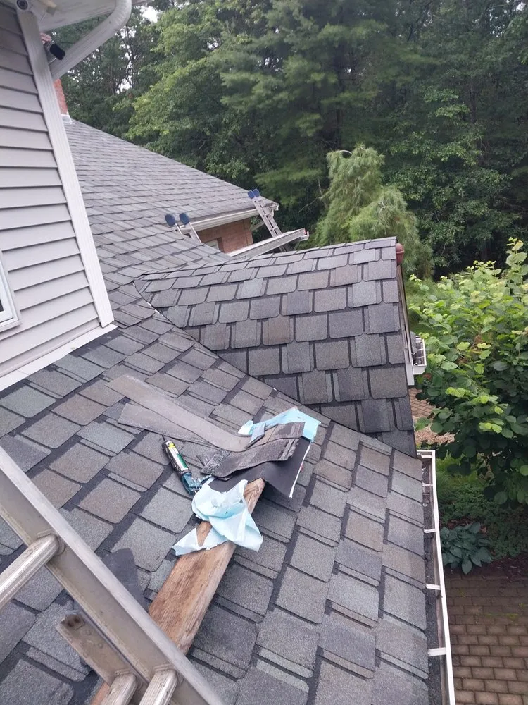 Slide of Fabios Repairs