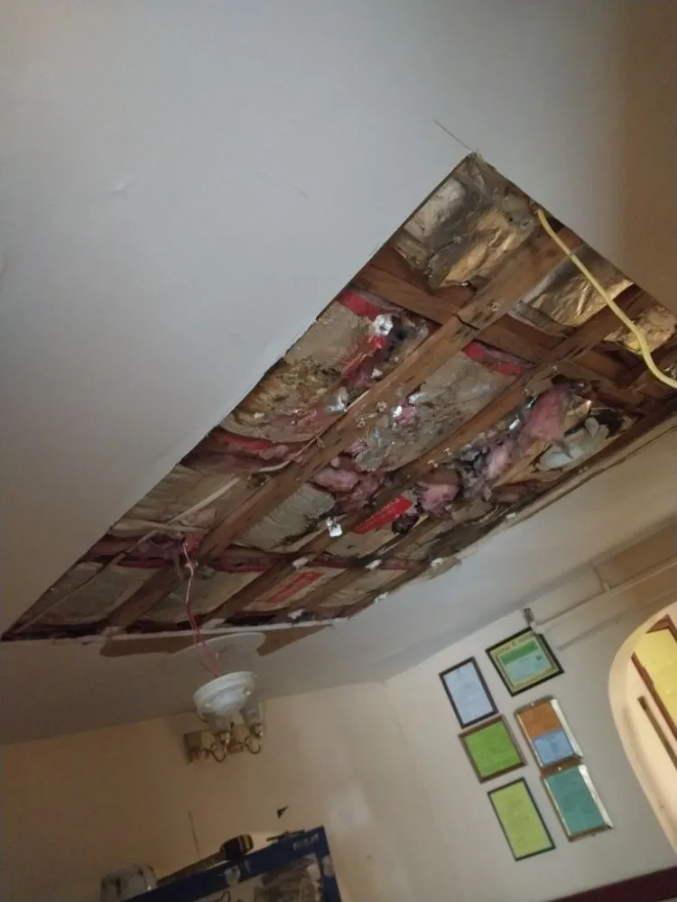 Slide of Fabios Repairs